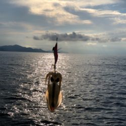 宮津西と浅茂川まで