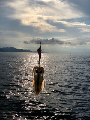 宮津西と浅茂川まで