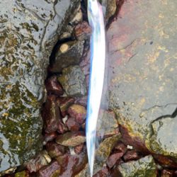 人混み避けて雨天決行