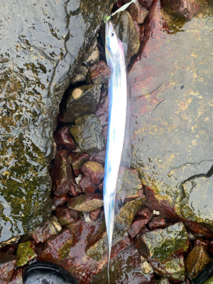 人混み避けて雨天決行