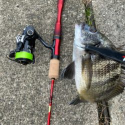 色々な魚がいっぱ〜い