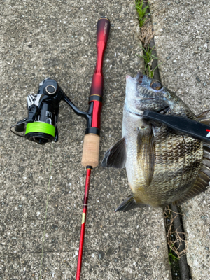 色々な魚がいっぱ〜い