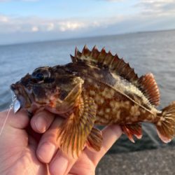 牙者退治のはずが