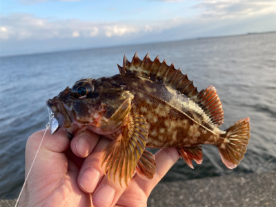 牙者退治のはずが