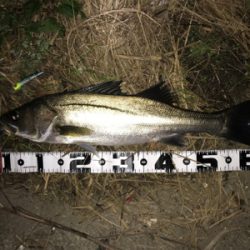 つ抜けに届かず…