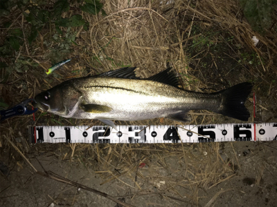 つ抜けに届かず…