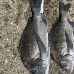 台風の去ったあと