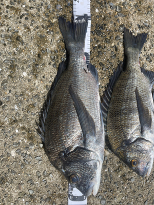 台風の去ったあと