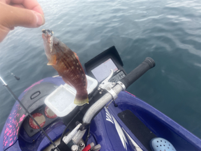 能登島付近で軽く遊びました