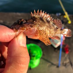 台風が過ぎたので