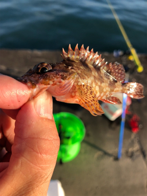 台風が過ぎたので