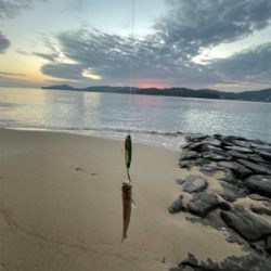 ショアジギング