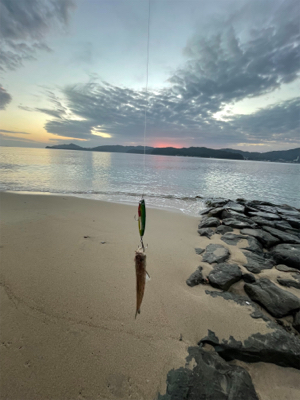 ショアジギング