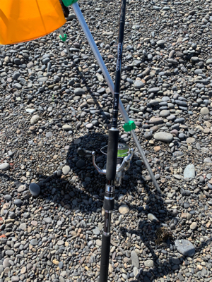 そろそろカツオ