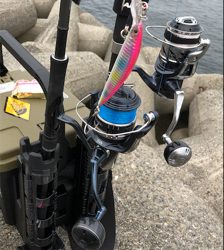 カタクチくるくる