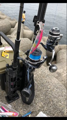 カタクチくるくる