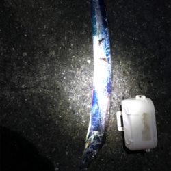 太刀魚釣り！^ ^