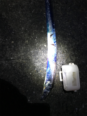 太刀魚釣り！^ ^