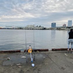 太刀魚、サビキ、ちょい投げ