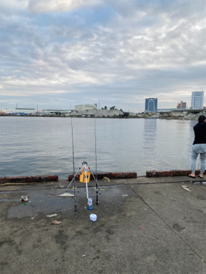 太刀魚、サビキ、ちょい投げ