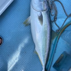 初めての、落とし込み体験