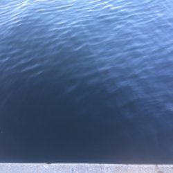 中秋の名月釣行