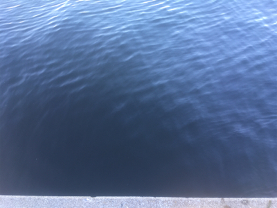 中秋の名月釣行