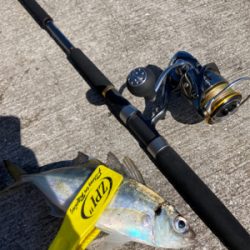 ⭐︎睡眠欲<釣り欲