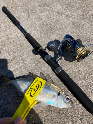 ⭐︎睡眠欲<釣り欲