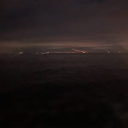 秋イカぼちぼち