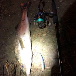 息子SUBARUとナイトフィッシング