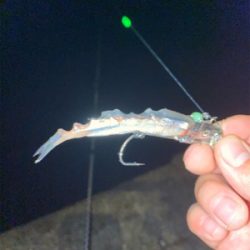 波止タチウオテンヤ