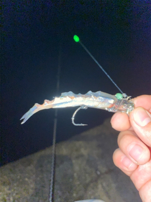 波止タチウオテンヤ