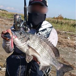 サーフに行ってフラット狙ったのにぬーちー!