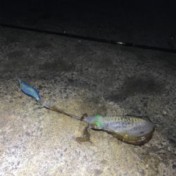 2人で4杯　しぶかった。