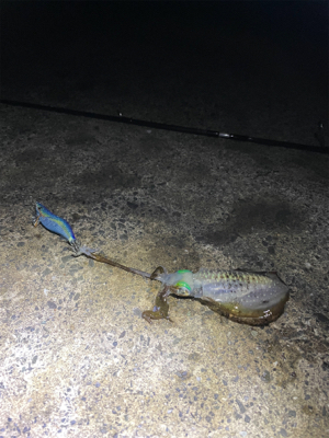 2人で4杯　しぶかった。