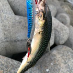 お祭り騒ぎに参加したけど…