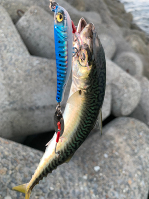 お祭り騒ぎに参加したけど…