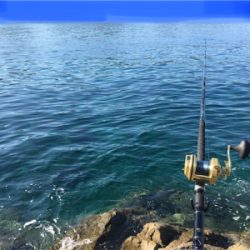 底物ターゲットゲット