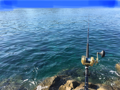 底物ターゲットゲット