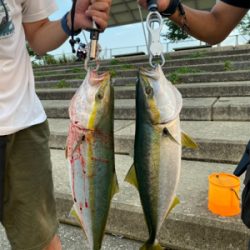 青物ラッシュ&人生初ブリ