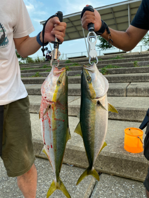 青物ラッシュ&人生初ブリ