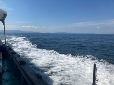 テンヤタチウオ