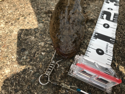 久々のお昼釣行