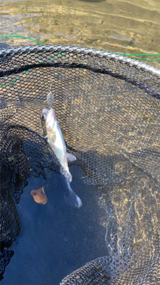 黒保根渓流フィシング