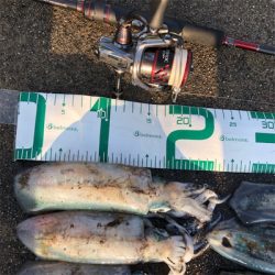 2021 佐渡ヶ島エギング  12回目