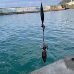 何とか1杯　坊主は免れた