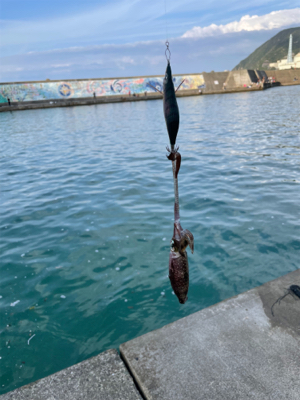 何とか1杯　坊主は免れた