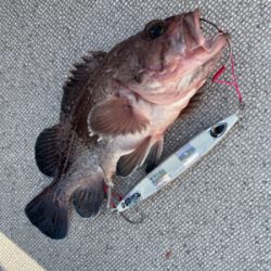 舞鶴沖スローピッチジャーク