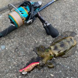 エギングにショアジギング。